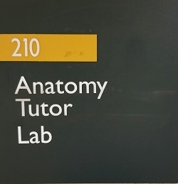 Anatomy Tutor Lab